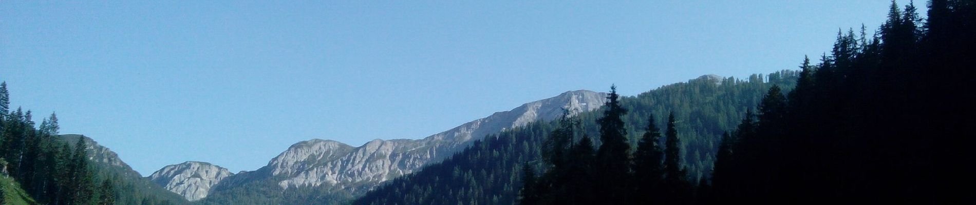 Tour Zu Fuß Altenmarkt im Pongau - Wanderweg 83 - Photo