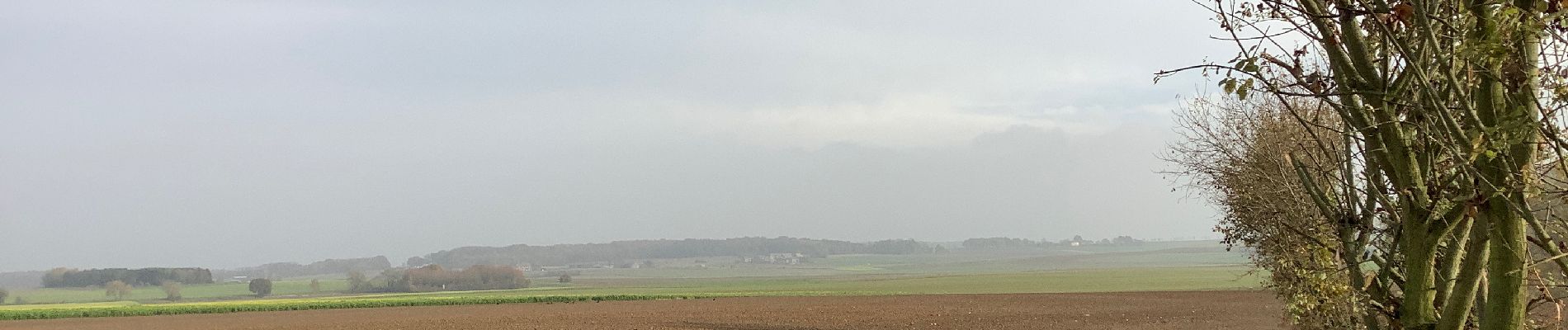 Tocht Stappen Graven - Nethen Meerdael  - Photo