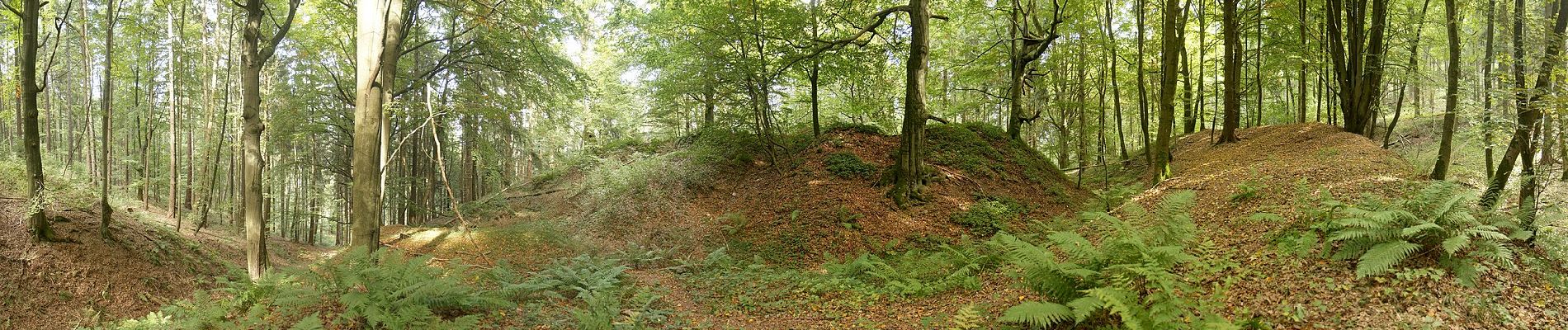 Tocht Te voet Unknown - Buchbergweg von Amberg - Photo