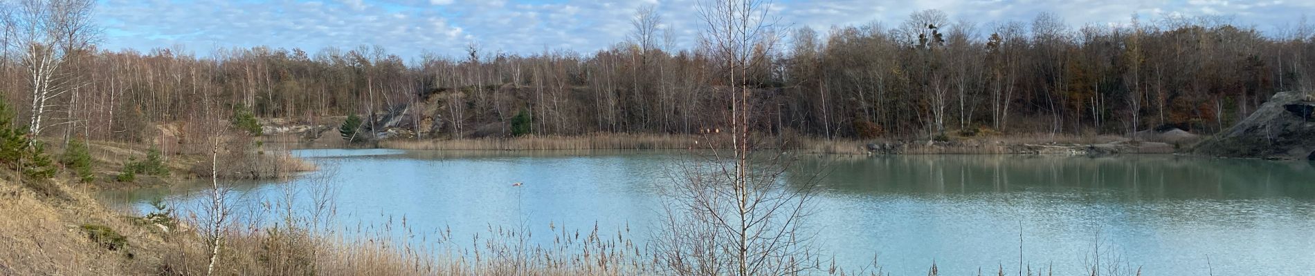 Tour Wandern Montpothier - Montpothier la queue de renard  - Photo