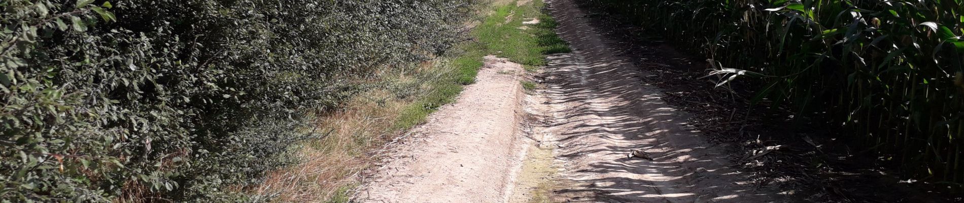 Tocht Te voet Fosses-la-Ville - Mon parcours - Photo