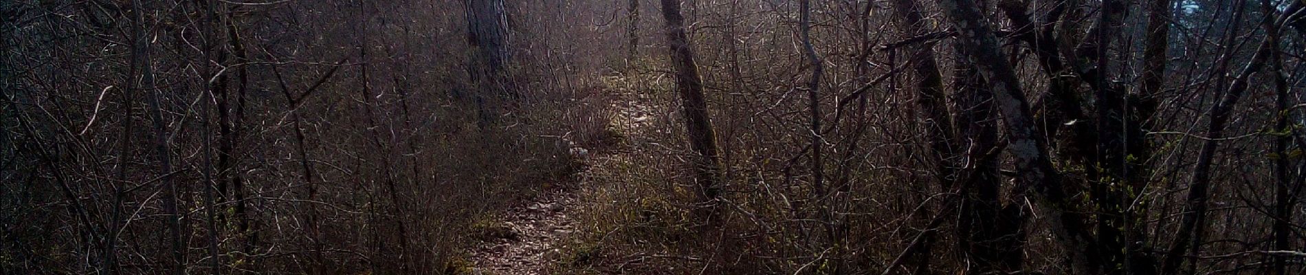 Tocht Stappen Besançon - Besançon Morre - Photo