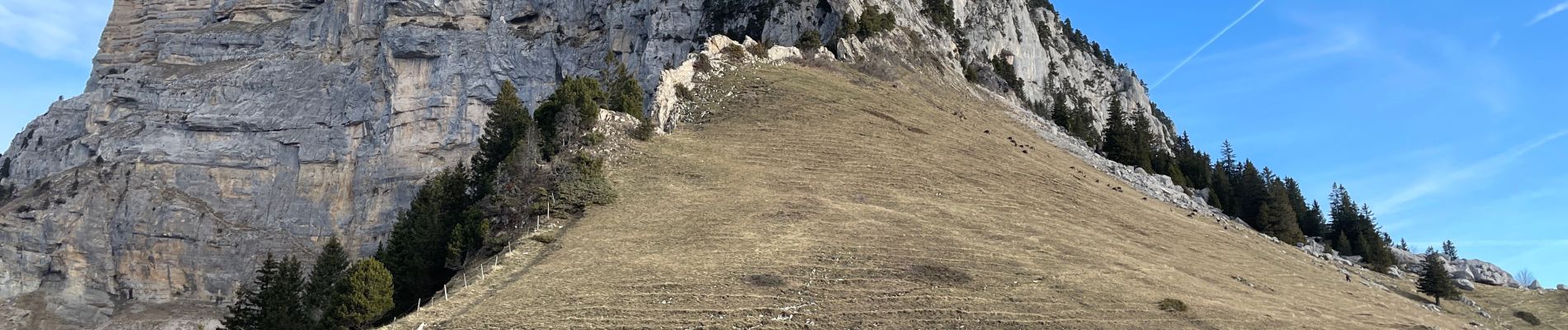 Tour Wandern Entremont-le-Vieux - Les chartreuses 2 - Photo