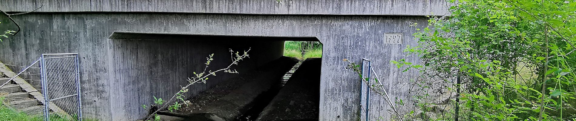 Tocht Te voet Lichtenberg - Gelber Strich 