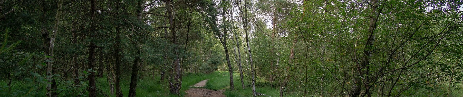 Tour Zu Fuß Senden - Venne Rundweg A9 - Photo