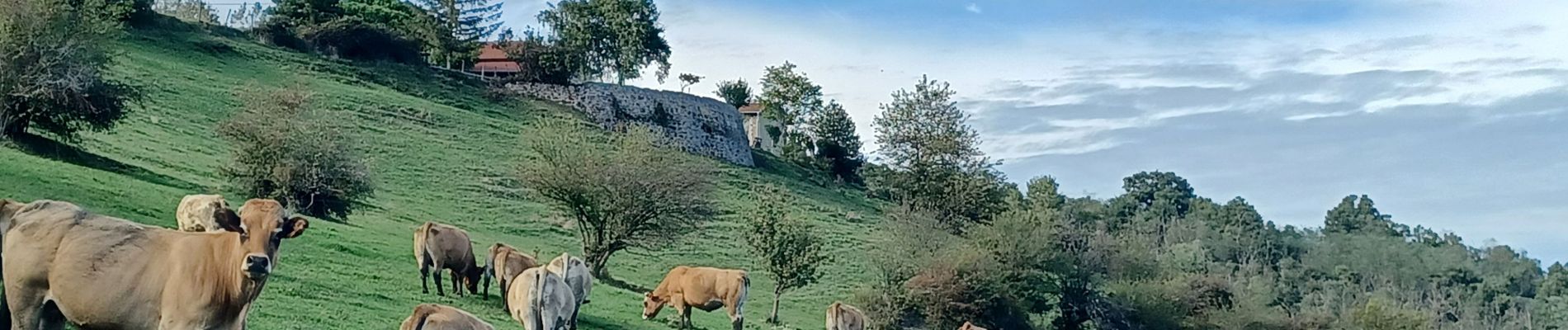 Excursión Senderismo Ponsas - Les roches qui danse - Photo