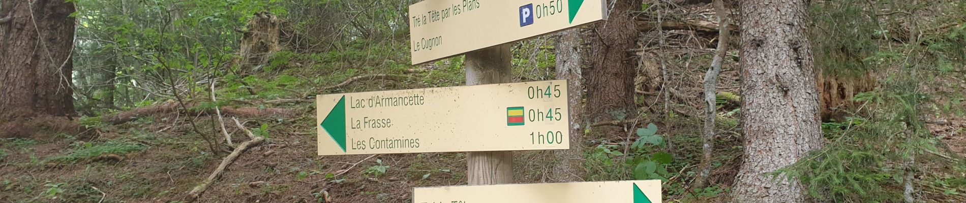 Tocht Stappen Les Contamines-Montjoie - Très La Tête 10 08 2023 - Photo