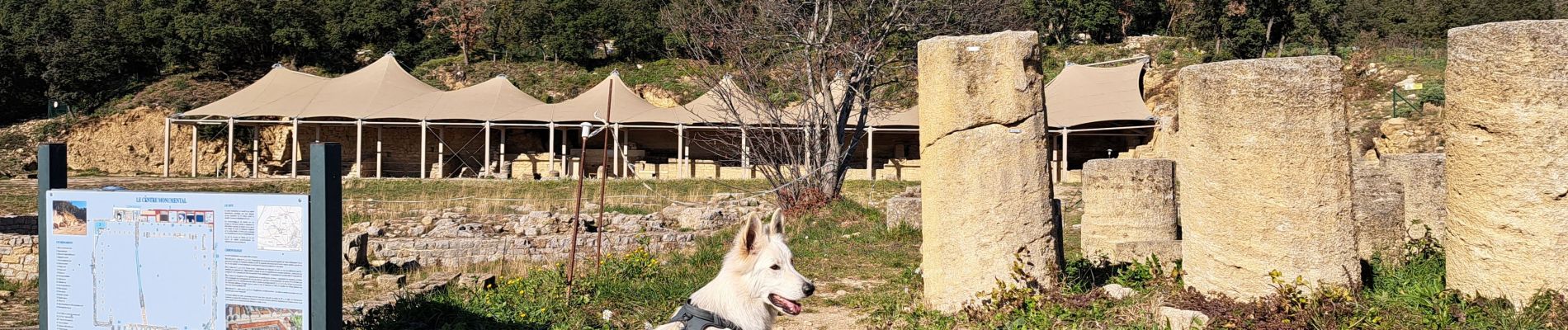 Tour Wandern Murviel-lès-Montpellier - Murviel-les-Montpellier - Photo