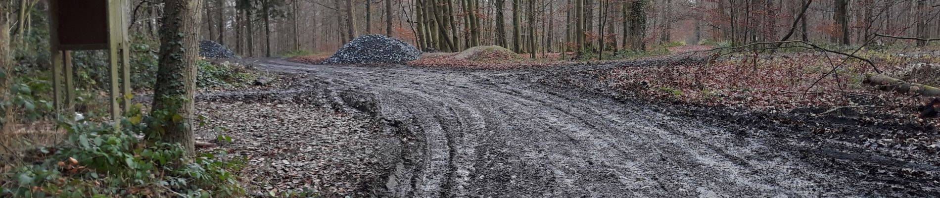 Percorso Marcia Namur - Mont Etoile plateau Longsart home - Photo