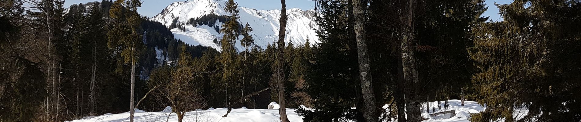 Randonnée Raquettes à neige Taninges - praz 1 - Photo