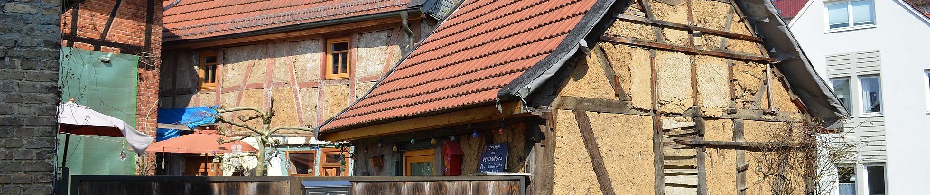 Tour Zu Fuß Niedernhausen - Apfelwein- & Obstwiesenroute - Photo