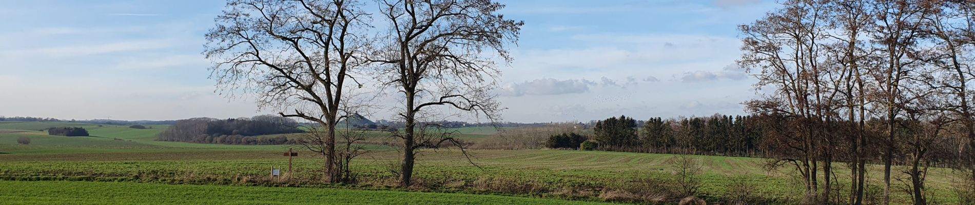 Tocht Stappen Lasne - Plancanoit - Aywiers - Photo