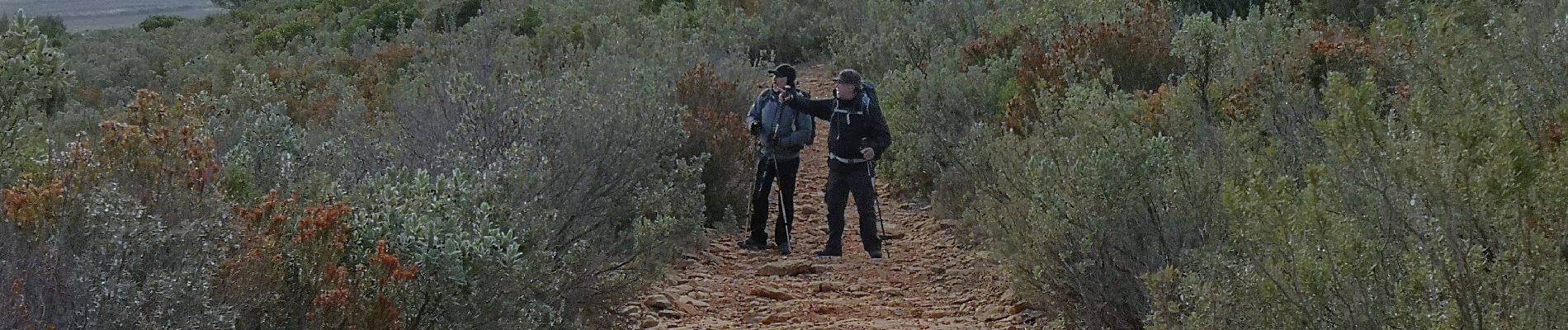 Tour Wandern Le Castellet - ste anne du castelet - Photo