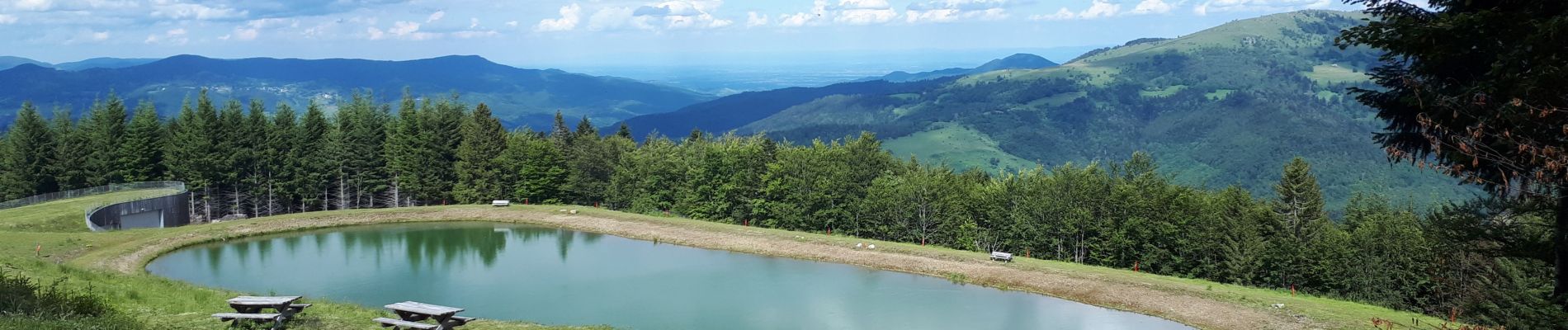 Tour Wandern Mittlach - schnepfenried tour par platzervasen - Photo