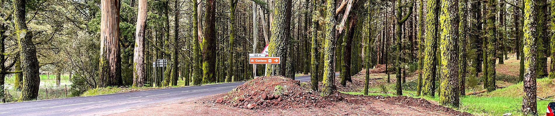 Tour Zu Fuß La Matanza de Acentejo - Camino de Candelaria de la Matanza - Photo