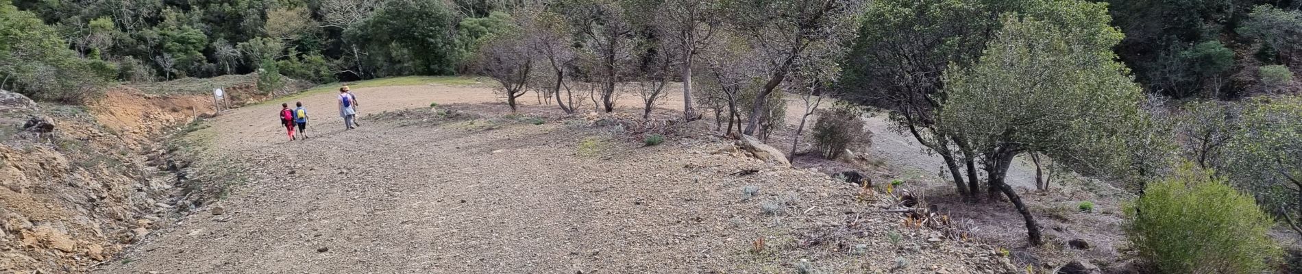 Tour Wandern Fréjus - z l'apié d'amic 21-03-23 - Photo