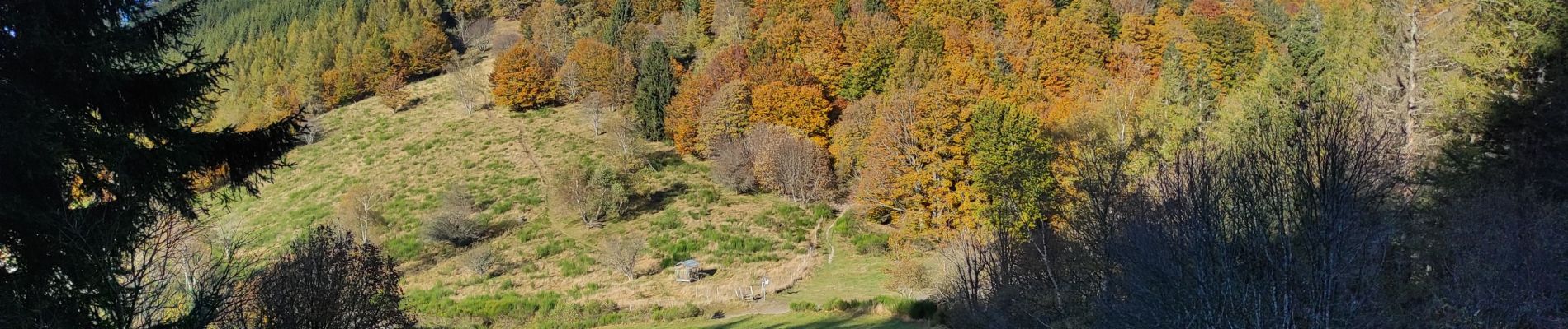 Trail Walking Soultz-Haut-Rhin - Glasshütte Firstacker - Photo