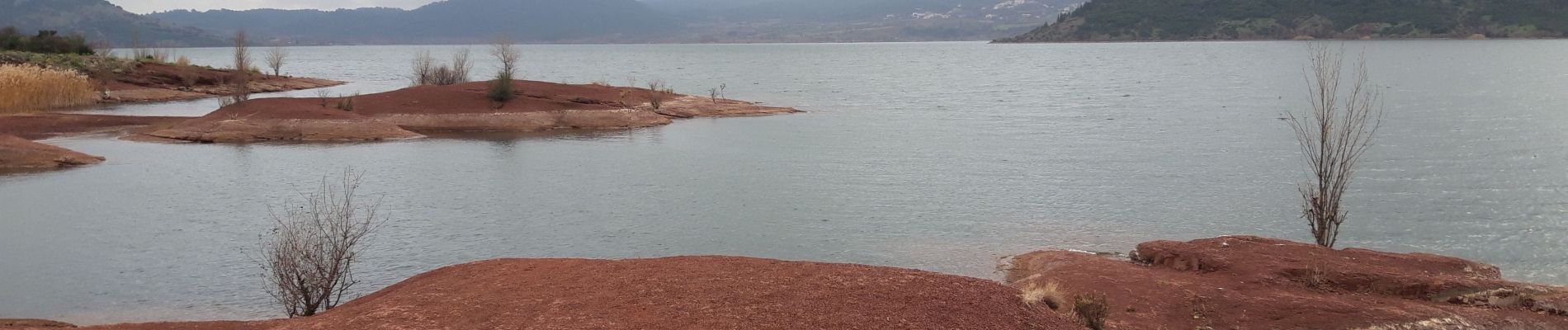 Trail Walking Celles - Lac du Salagou  - Photo