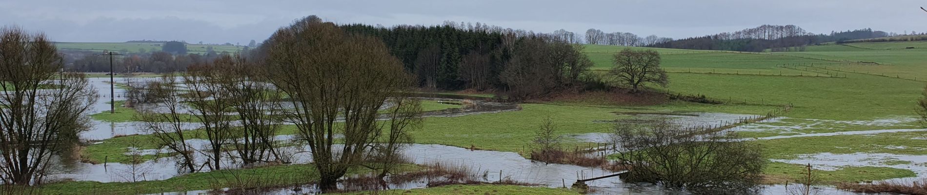 Trail Walking Herbeumont - litarbre - Photo