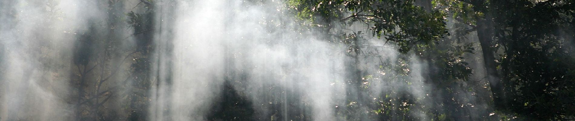 Tocht Te voet Pavullo nel Frignano - Anello Pavullo - Photo