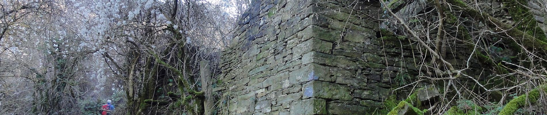 Randonnée A pied Borgo San Lorenzo - Sorgenti di Firenze Trekking – Anello 14: Sul tracciato della Linea Gotica - Photo