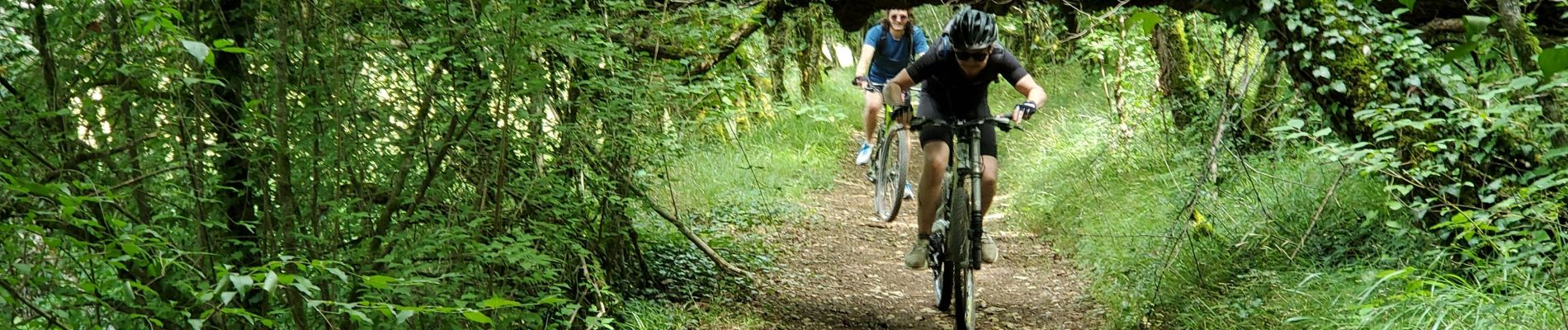 Tour Elektrofahrrad Villeneuve - Villeneuve  - Photo