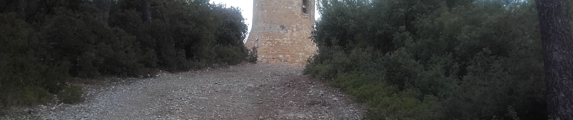 Tour Wandern Saint-Marc-Jaumegarde - Saint-Marc-Jaumegarde-Tour de César - Photo