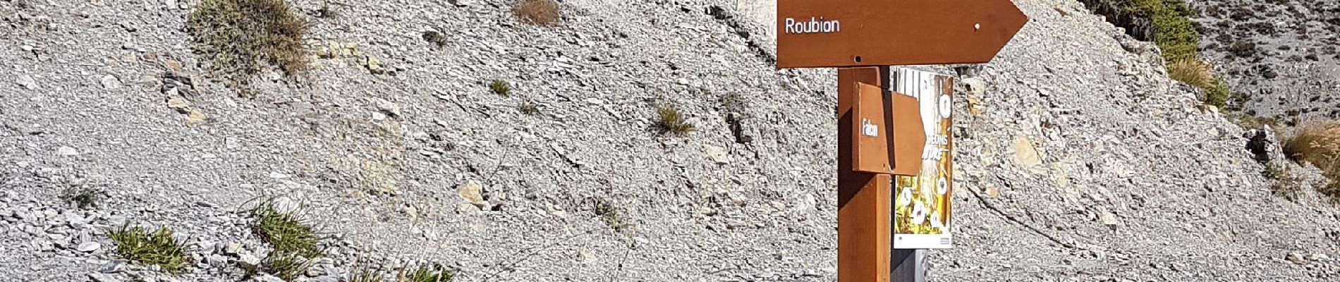 Trail Walking Roubion - Falcon a Roubion - Photo