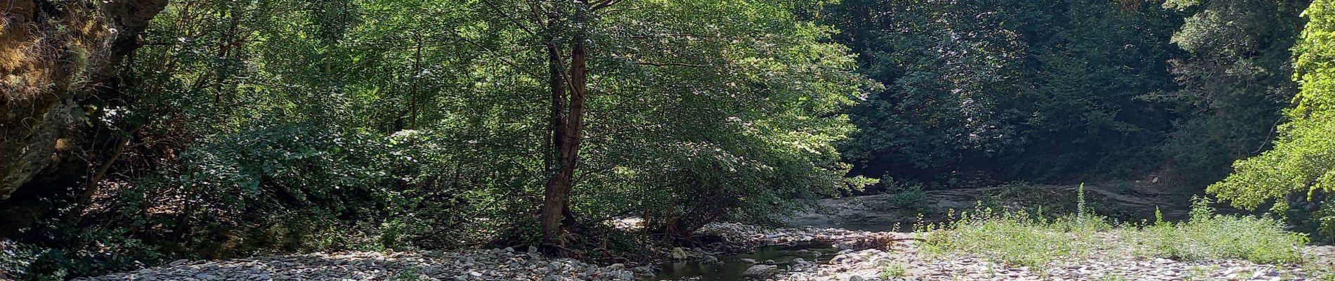 Trail Walking Saint-Martin-de-Boubaux - Galeizon rando semi aquatique  - Photo