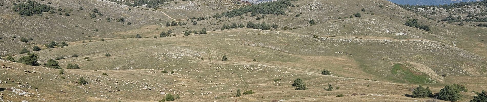 Excursión Senderismo Gréolières - Cretes du Cheiron - Photo