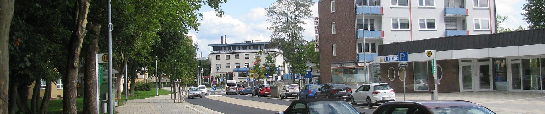 Tour Zu Fuß Habichtswald - Baunapfad - Photo