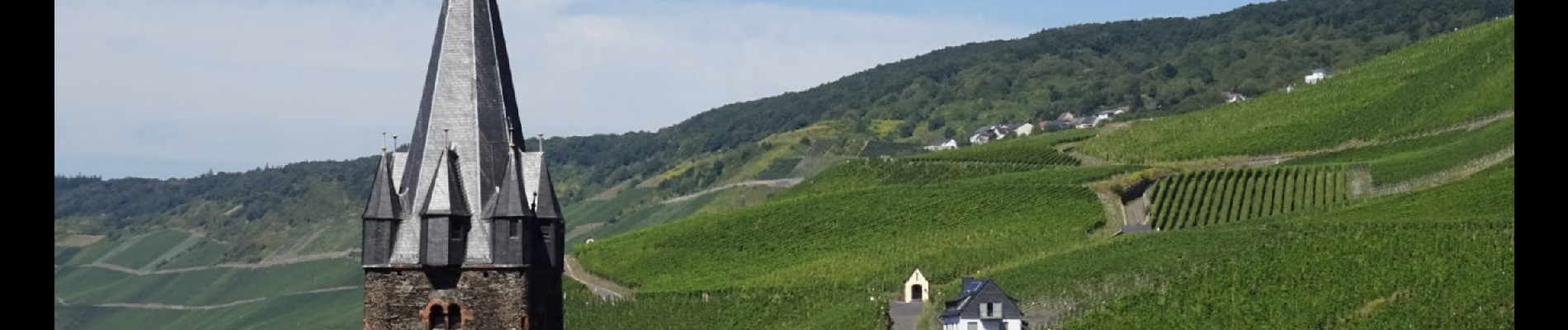 Percorso Marcia Bernkastel-Kues - Berncastel 15 Km - Photo