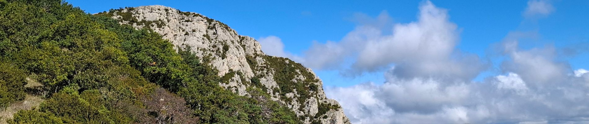 Tour Wandern Teyssières - le cougoir retour par les crêtes de Sauveginoux - Photo