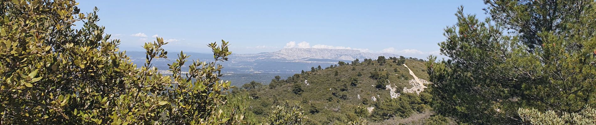 Trail Walking Simiane-Collongue - Le pilon du Roy par Simiane - Photo