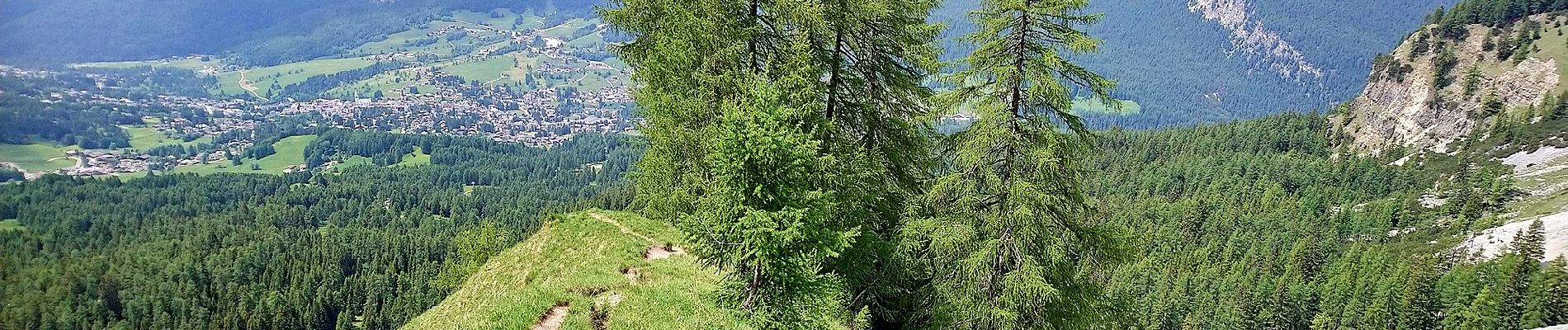 Trail On foot Cortina d'Ampezzo - IT-204 - Photo