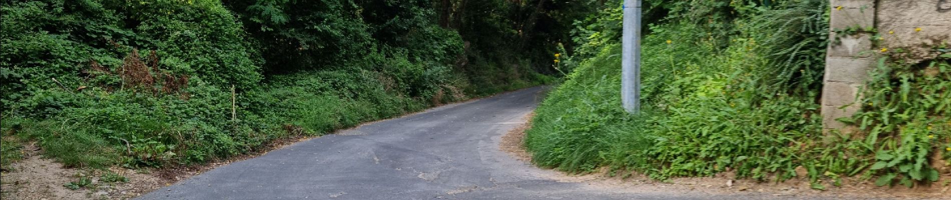 Percorso Marcia Itteville - Itteville circuit en boucle balisé bleu - Photo