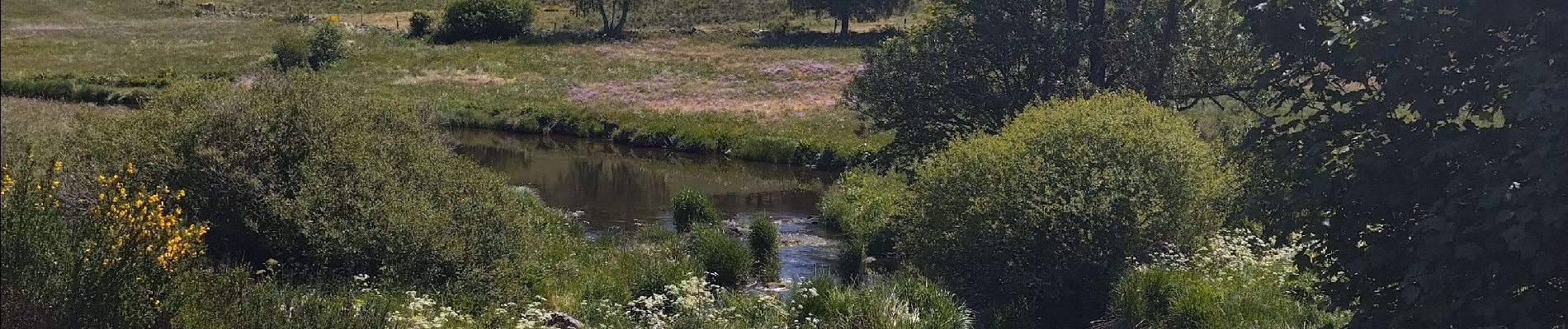 Randonnée Vélo de route Rocles - Châteauneuf-de- randon - Photo