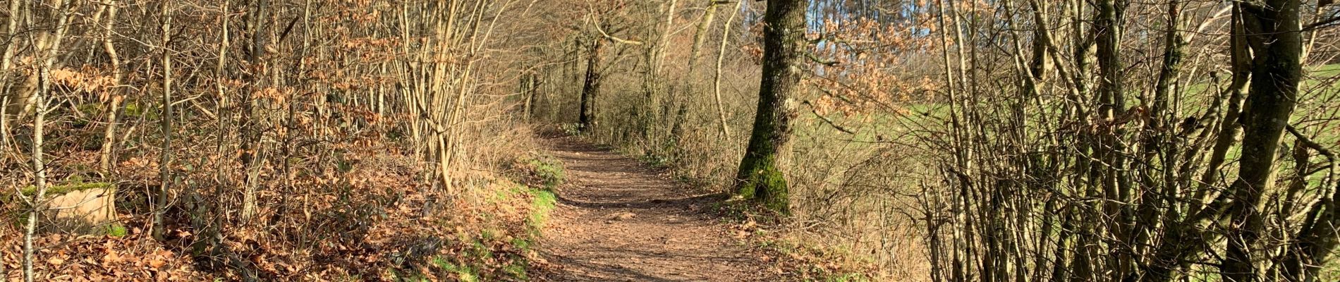 Randonnée Marche Strassen - Mamer - Photo