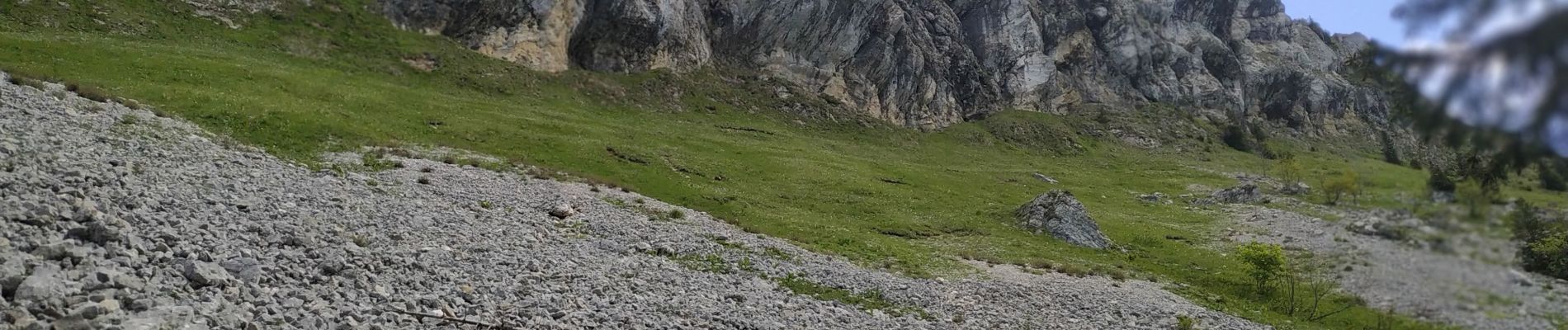 Tour Wandern Saint-Pierre-d'Entremont - Rando ANF - Le Petit Som (1772m) en boucle par le Col de Léchaud et le Col de Bovinant - Photo