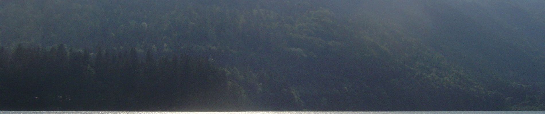 Tour Zu Fuß St. Wolfgang im Salzkammergut - Sattelweg - Photo