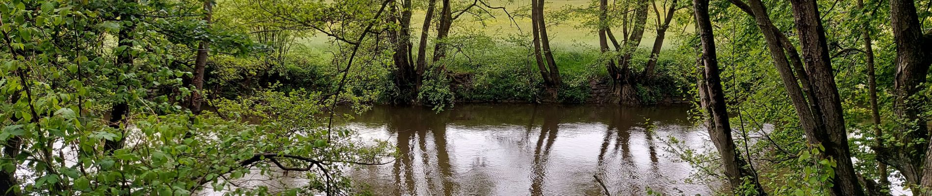 Tocht Stappen Rochefort - Jamblinne - Photo