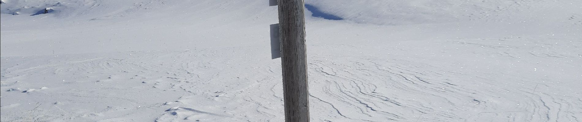 Tour Schneeschuhwandern Le Dévoluy - cretes de baume. collet du that - Photo