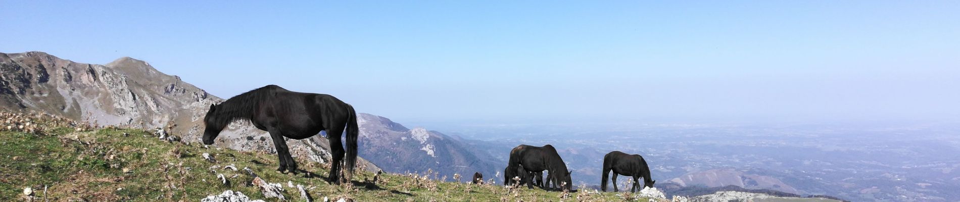 Tour Wandern Beyrède-Jumet-Camous - signal de Bassia, Plo de Berdaoulou - Photo