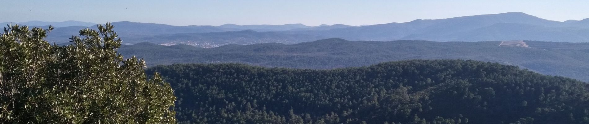 Tour Wandern Le Val - Le Cuit - Photo