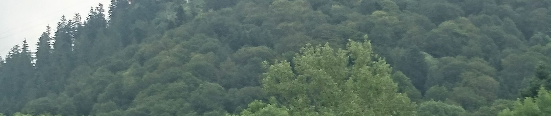 Randonnée Marche La Bourboule - Charlannes par Fohet retour sur parc fenestre par descente sous ancien funiculaire 2019-07-02 - Photo