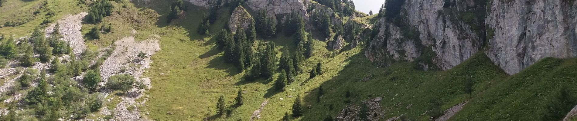 Randonnée Marche La Roche-sur-Foron - GLIERES / BORNES: LE CHESNET - SUR COU - COL DU FREU - Photo