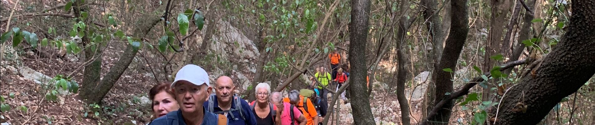 Tocht Stappen Le Revest-les-Eaux - Le revest les eaux - Photo