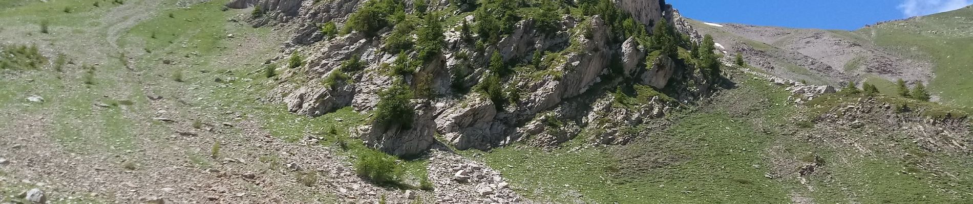 Trail Walking Embrun - Mont Guillaume - Photo
