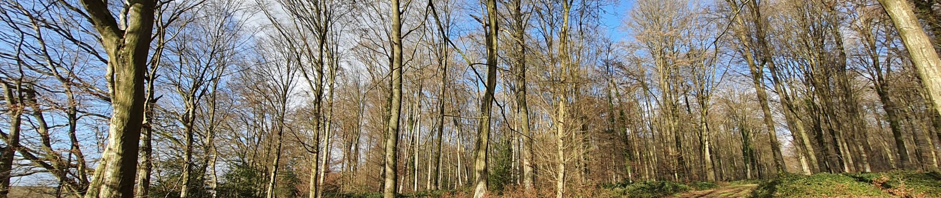 Tour Wandern Martagny - Martagny, forêt domaniale de Lyons et le monument de la Rougemare - Photo