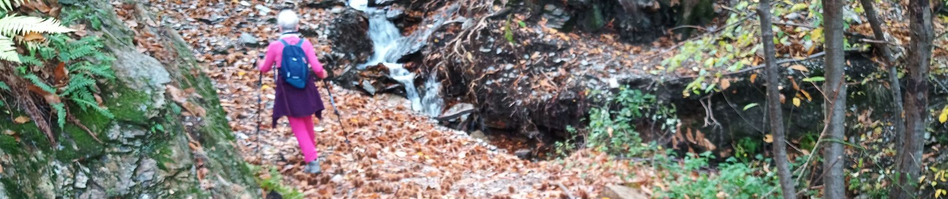 Tour Wandern Ventalon en Cévennes - col de hauts de St privât. - Photo